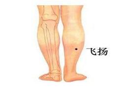 飞扬