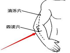 四渎