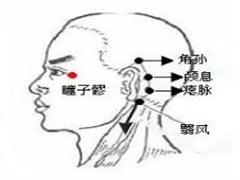 瞳子髎