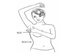 辄筋