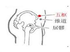 五枢