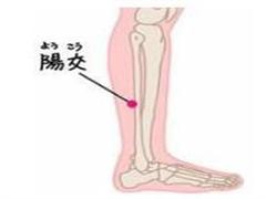 阳交