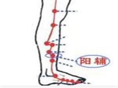 阳辅