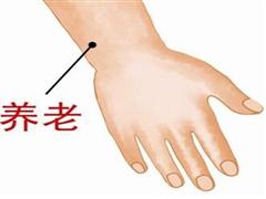 养老