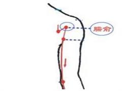 臑俞
