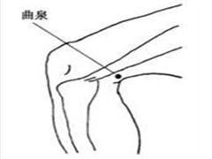 曲泉