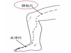 阴包