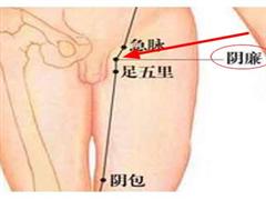 阴廉