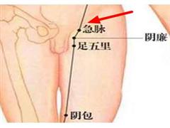 急脉