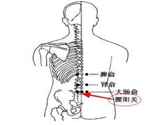 腰阳关
