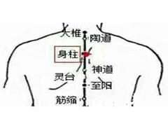 身柱