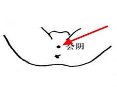 会阴