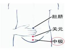 中极