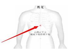 鸠尾
