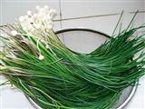 山韭菜的功效与作用