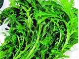 雪里红的营养价值与食用功效
