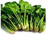 菠菜的营养价值和食用价值