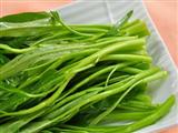 空心菜的营养价值、食用功效与常用菜谱