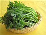 茼蒿的营养价值与食用功效