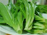  常吃油麦菜的好处多