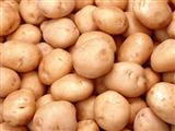 土豆去污效果比洗洁精强10倍