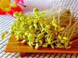 吃豆芽可美容 4招辨别毒豆芽