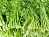 芹菜有6个药用功效 教你区分3种芹菜