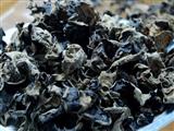黑木耳的营养价值高 推荐六款家常食谱