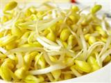 黄豆芽的食用禁忌