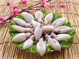 常吃墨鱼能滋肾养血