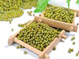 常吃绿豆有抗肿瘤作用