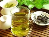 苦丁茶能抗癌防癌