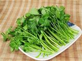 吃香菜能够有效降血压